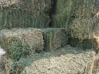 Small square hay and straw