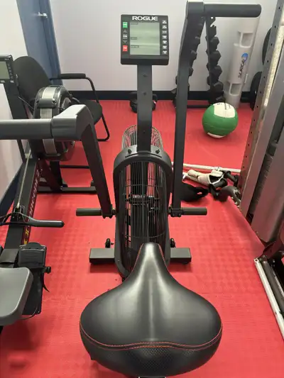 Rogue Echo Bike and Concept2 Rower - Premium Cardio Pair, View more