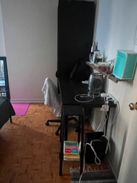 Den for rent downtown Toronto