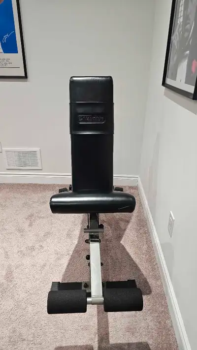 Nautilus adjustable bench with wheels, Voir plus