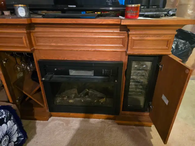 Fireplace stand tv fridge & glass wine in Fireplace & Firewood in Ottawa - Image 7