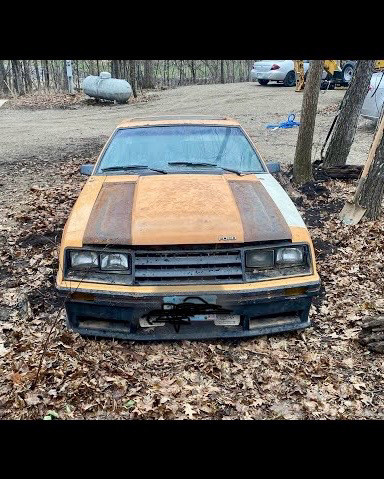 Wanted- 79- 82 Mustang Cobra /Gt in Cars & Trucks in St. Catharines