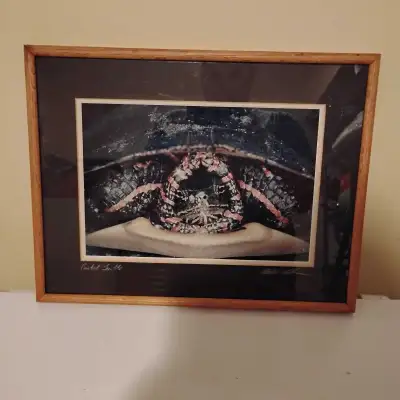 This is a used framed print by wildlife photographer Michael Johnson featuring a painted turtle. The...