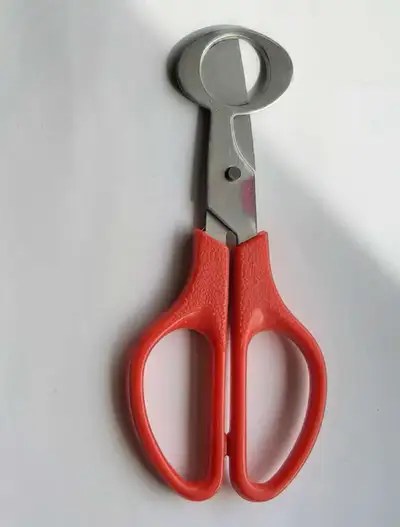 Quail egg scissors, View more