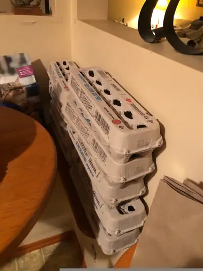 Free egg cartons, View more