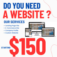 Professional Website in 2 Days Starting $150