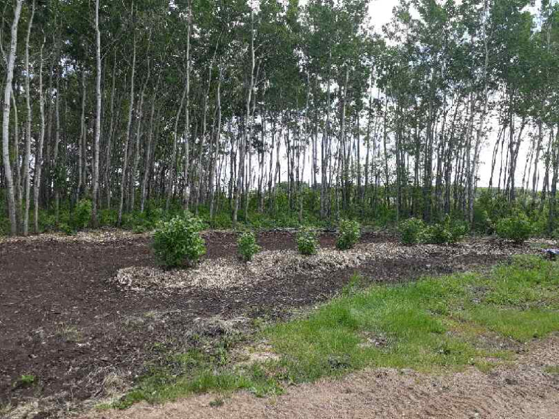 Offgrid community living. Land for Sale Prince Albert Kijiji