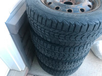 Winter Tire for sale