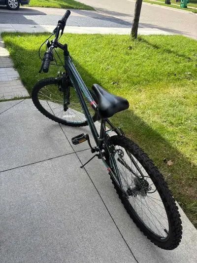 Very new adult cycle,smooth gears,strong brakes and comfortable seat ,no scratches,no damages with p...