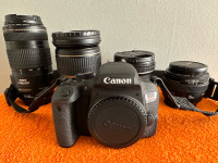 Canon EOS T7i + Lenses