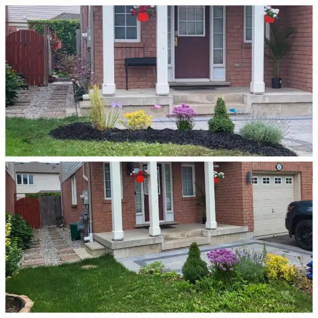 Grass cutting & lawn maintenance 63384476893443122