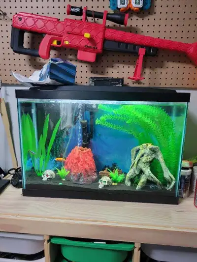13gallon tank with friends, View more