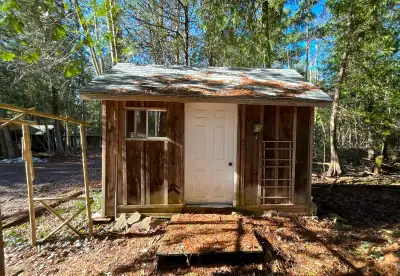 Cosy Board  and Batten Cabin, View more