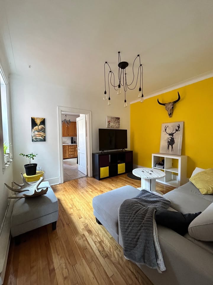 Grand appartement 2 chambres et terrasse — photo 2