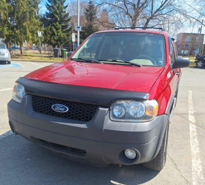 2007 Ford Escape XLT