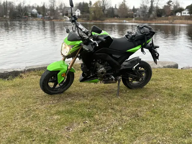 z125pro! in Street, Cruisers & Choppers in Ottawa - Image 8