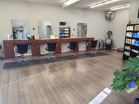  Salon or  barbershop 