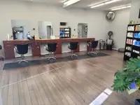  Salon or  barbershop 