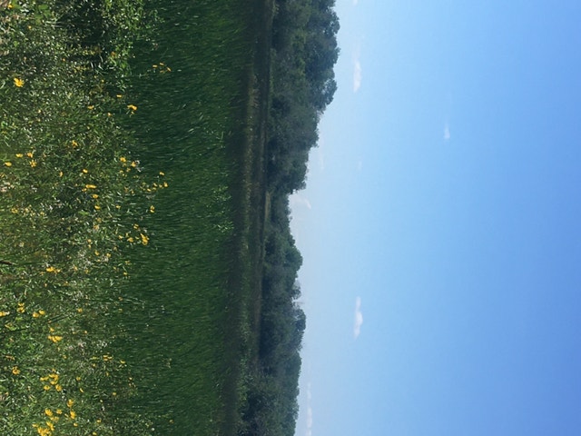 160 Acres for Sale in Interlake near Lundar Land for Sale Winnipeg