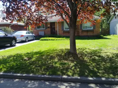 Avg$700, 5bd 2 bth House, Walk to Algon.College, Student Welcome