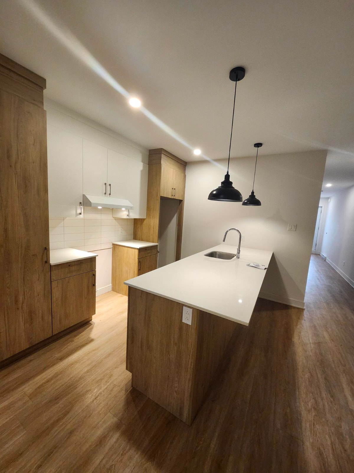 11628 Rue Prince Albert — photo 2