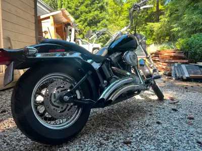 2004 Softail standard 88 twin cam 1450cc Great bike but having another kid so parting with toys. Bik...
