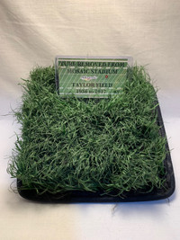 Mosaic Stadium Taylor Field Roughrider turf 