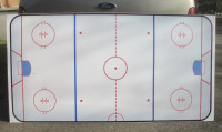 Hockey Rink Foamcore Sheets