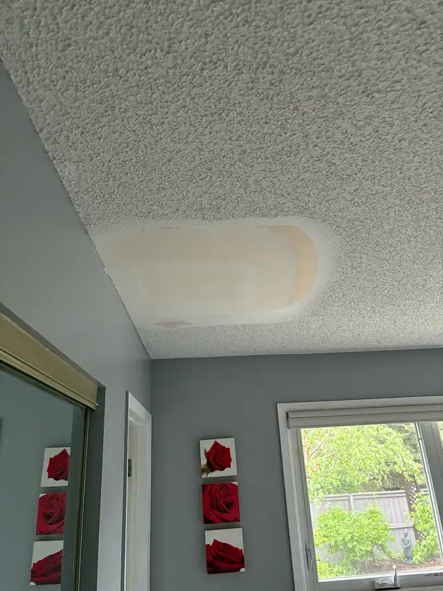 Professional Ceiling Texturing | Popcorn & Knockdown | Repairs572417991603005446