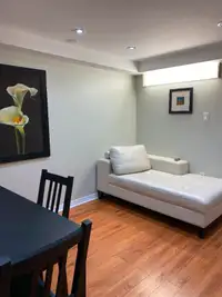 Furnished One-bedroom basement apartment near SQ 1 is for rent