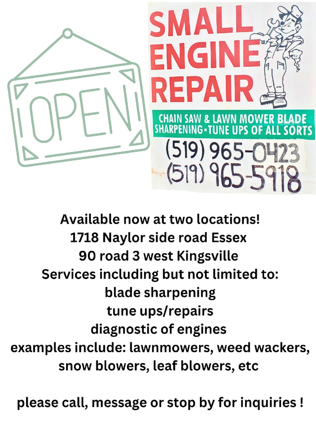 Small engine repair  in Lawnmowers & Leaf Blowers in Leamington