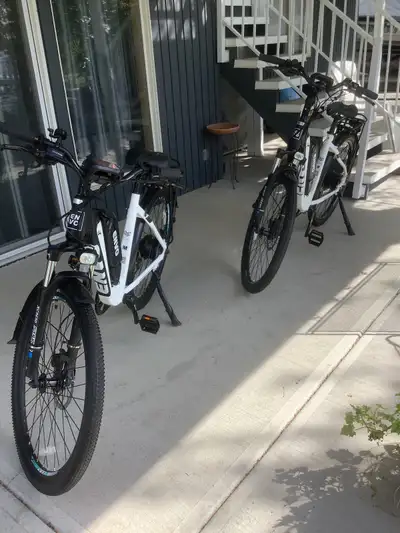 Buy Canadian! 19” Step thru. Max power 500 w. Top speed 32 km/hr. Max range 100 km. New battery stor...