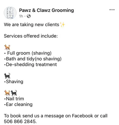 Dog and cat grooming services, View more