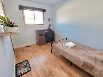 Fully-Furnished Room in a house with a Separate Entry -Commute to UW is just 20 min by bus ( 201, 4,...