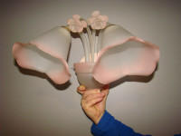 Pair of blush  murano glass wall sconces