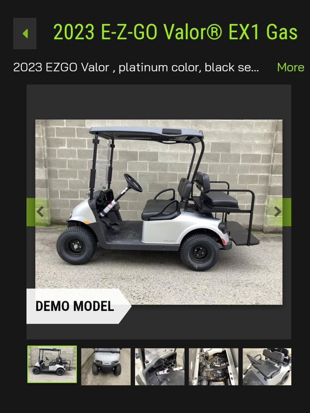 New Gas Golf Cart 4 seater  in Other in Saskatoon