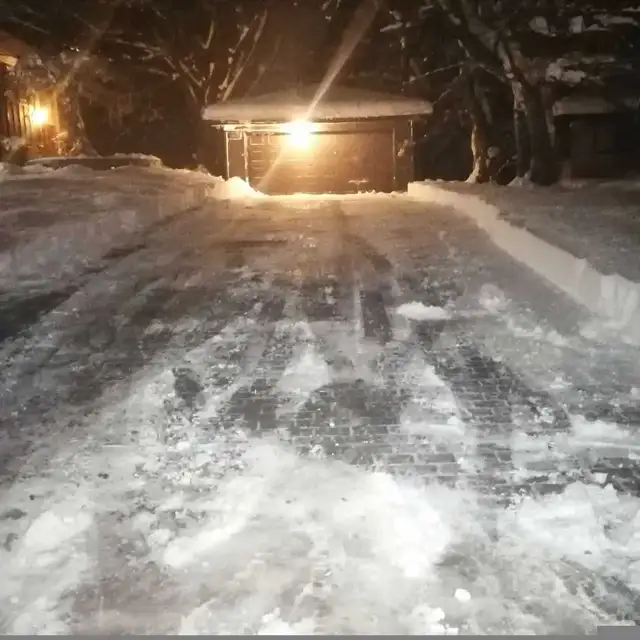 snow removal 64617624801411124