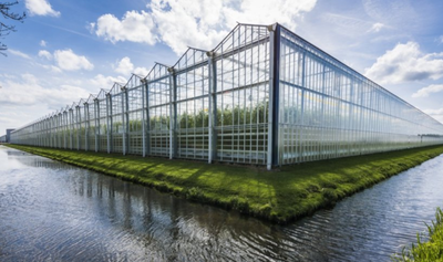 12*24m Greenhouse, View more