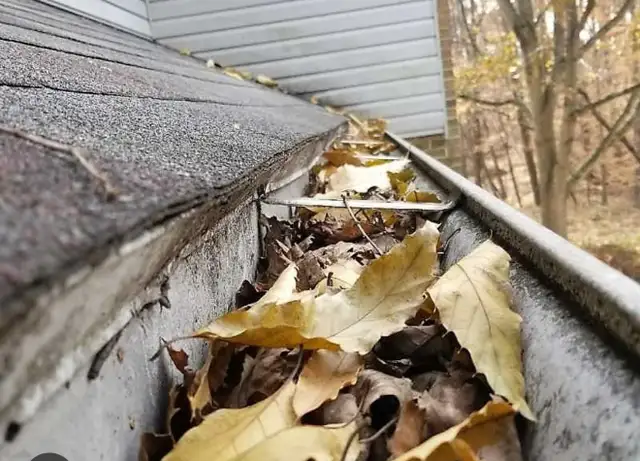 Eavestorugh/Gutter Cleaning 64285833961731122