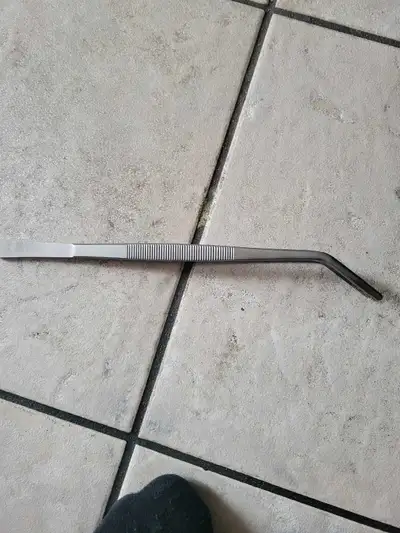 J ai une paire de pince Zoo Med pour nourrir serpents et reptile demande 3$
