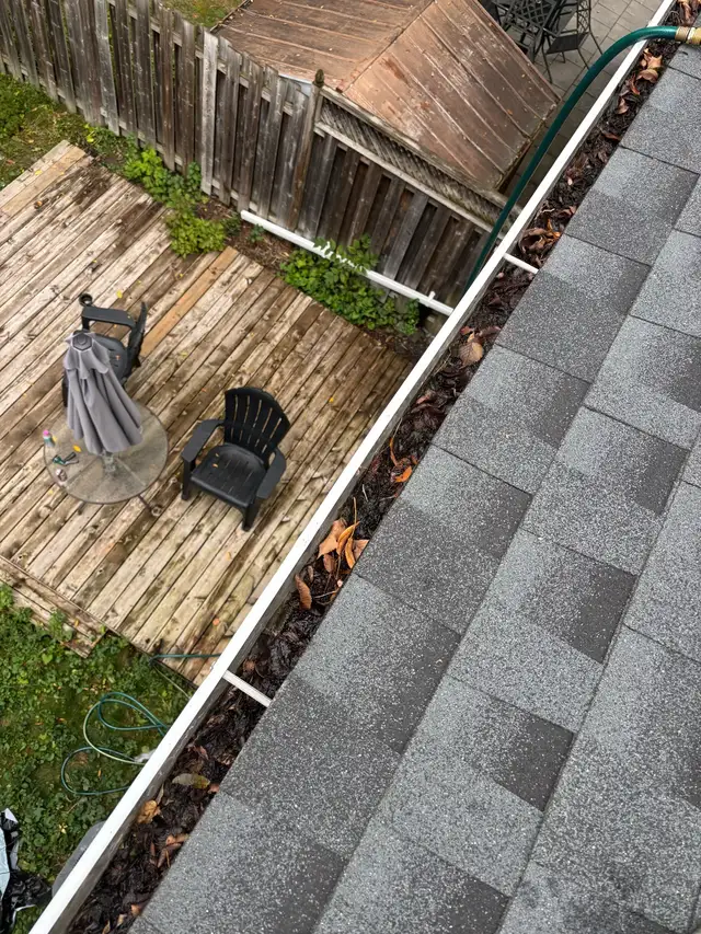 Exterior services & fall cleanup/snow removal in Lawn, Tree Maintenance & Eavestrough in Ottawa - Image 7