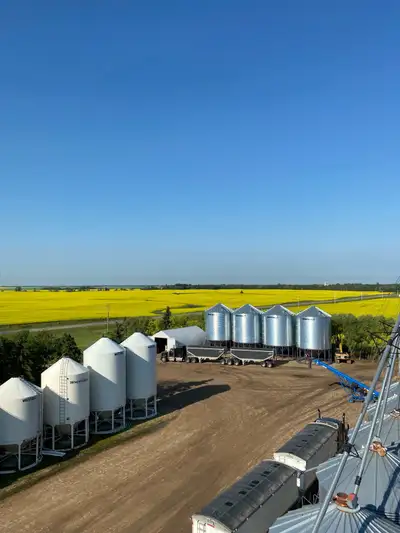 Harvest Help Needed We are a 10,000-acre modern grain farm located at Gronlid SK. And we are looking...