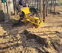 Stump Removal by Stump Grinding 