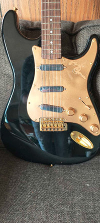 D'Cruz Guitars Fender Mod Strat