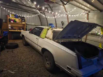 1984? Cutlass calais. Factors buckets and console, factory tack and sunroof, runs and drives nice. 3...