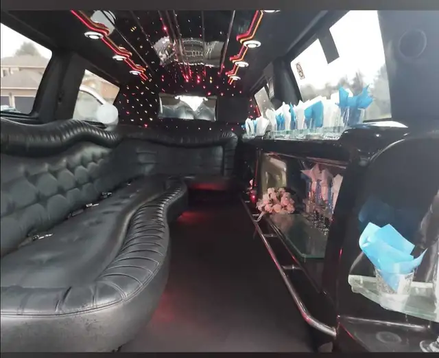 LIMOUSINES - WINE TOURS in Friendship & Networking in St. Catharines - Image 9