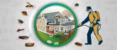 pest control, View more