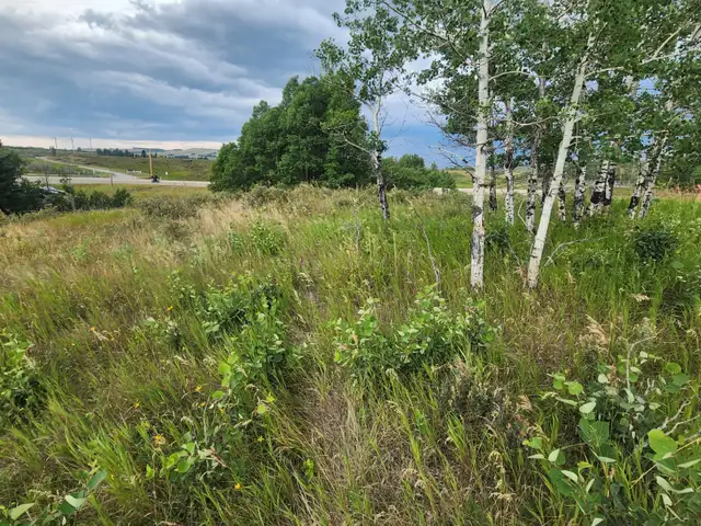 Cottage Club Lot in Ghost Lake in Land for Sale in Calgary - Image 4