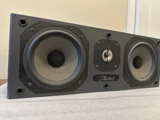 Speaker in Speakers in Markham / York Region - Image 2