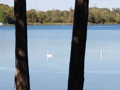 Room for rent in quiet waterfront home